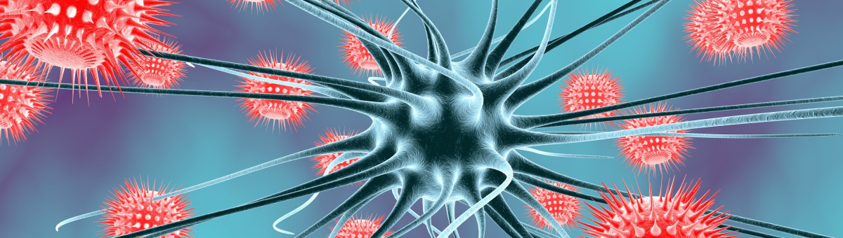 brain cells affected by encephalitis